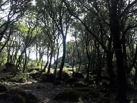 Mesigheddas Nuraghe Ruju
