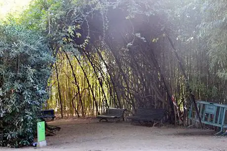 Photo de Pèrgola