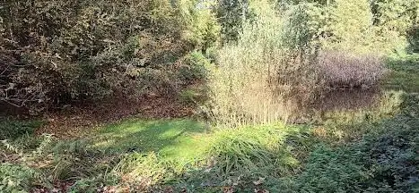 Photo de Provinciedomein Palingbeek