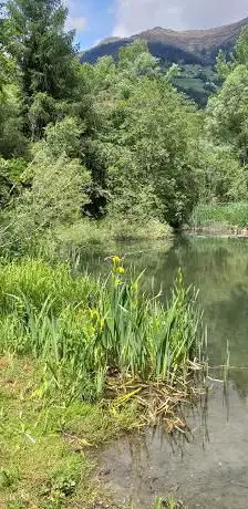 Photo de Biotop Gondellen