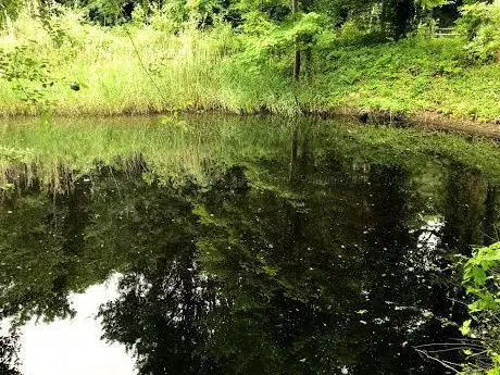 Photo de Newt Reserve