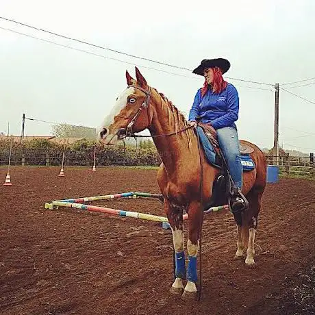 Dream Ranch