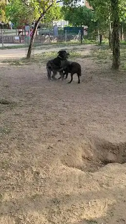 Photo de Parque canino