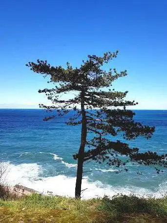 Photo de Monte Urgull