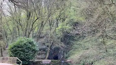 Photo de Source de la Foulotière