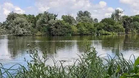 Réserve naturelle nationale des étangs du Romelaëre