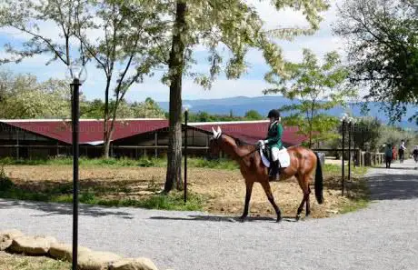 Photo de Circolo Ippico Equiplanet