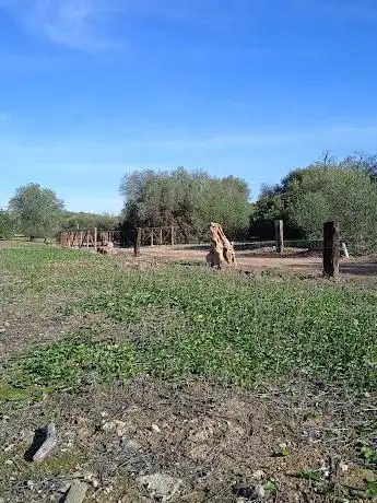 Photo de Dehesa de Pilares