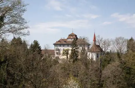 Photo de château d'Hilfikon