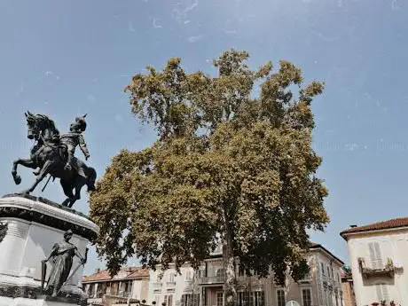 Photo de Platano di Palazzo Alfieri