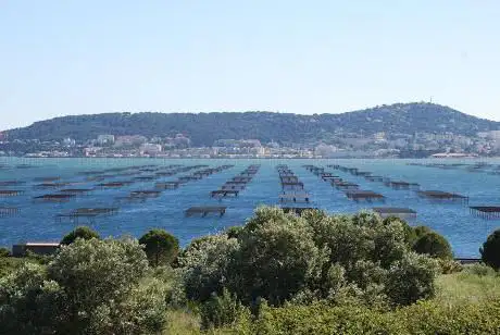 Photo de Loupian View Point