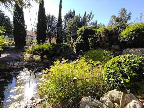 Photo de Parque Ginés Ibáñez