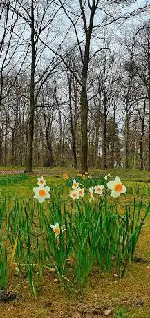 Photo de Koninklijk Park