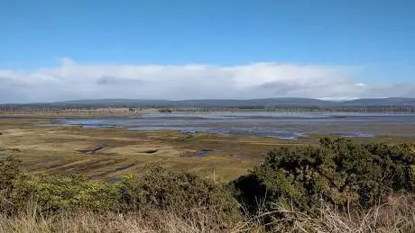 RSPB Nigg Bay