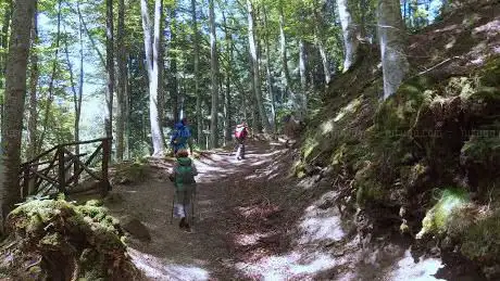 Photo de Sentiero Natura badia prataglia