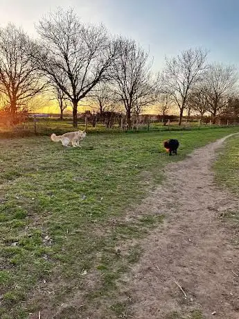 Sutton Heath Picnic Area and Car Park