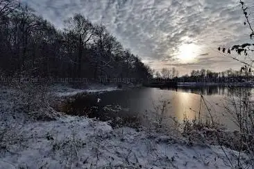 Photo de Reserve Natagora : L'etang De La Fourchinée