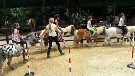 Photo de A.S.D. Riding Club Aniene - The Ranch