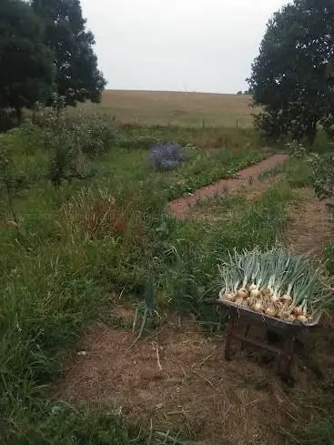Potager nature