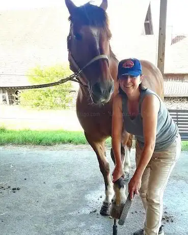 Photo de SWISSHORSESHOP | dein Onlineshop für exklusive Pferdeprodukte