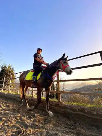 Ass Sportiva Dilettantistica Amico Cavallo