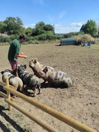 Foxdown Children's Farm