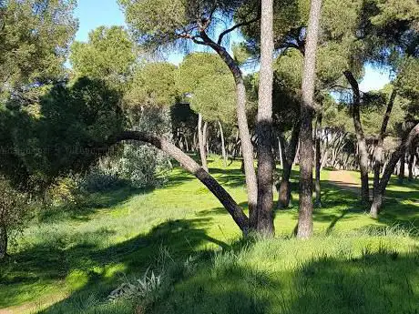 Photo de Punto encuentro Parque Alcalá