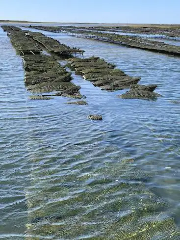 Rota Das Ilhas - Ria Formosa