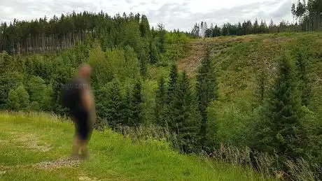 Trail through the Red Ski Slope
