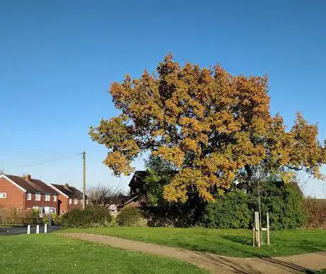 Photo de Jubilee Park