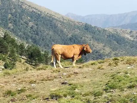 Photo de Prato Perseghin