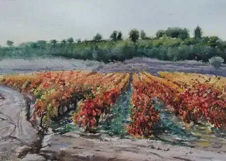 Photo de Vino y Color