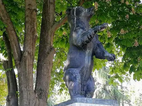 Photo de Oso de BerlÃn
