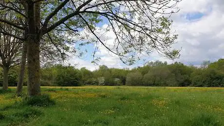 Photo de The Meadows