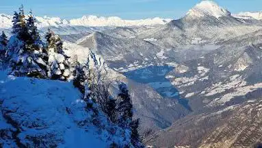 Dent du loup
