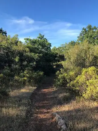 Photo de Bosco di Marcèdde