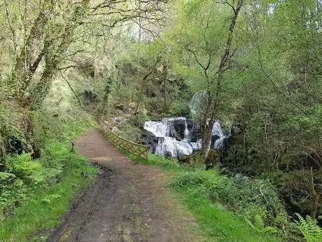 Devesa de Gontar