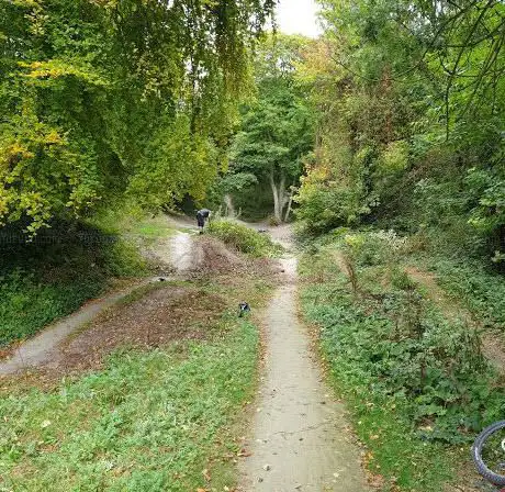 Photo de Paradise MTB