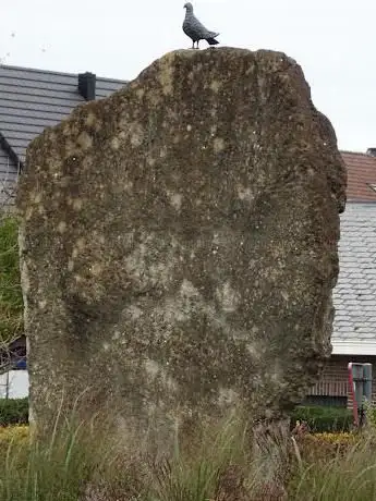 De Gevleugelde vrienden