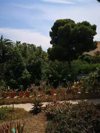 Orto Botanico di Cagliari