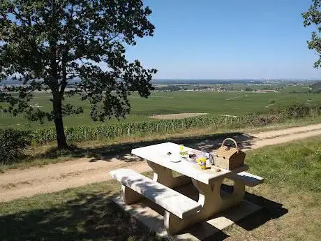 Photo de Aire de picnic de Vosne-Romanée