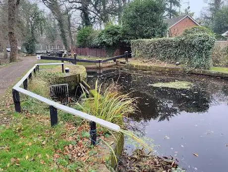 Photo de Basingstoke Canal