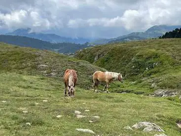 Photo de Source de la Garonne