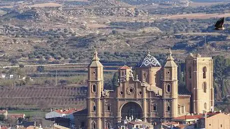 Photo de Monumento al Olivo