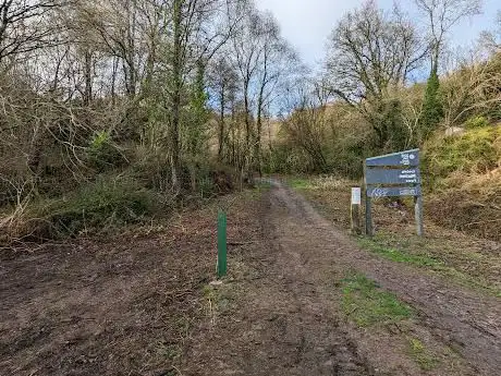 Machen Forest