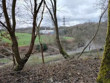 Photo de Ladyshore Woods