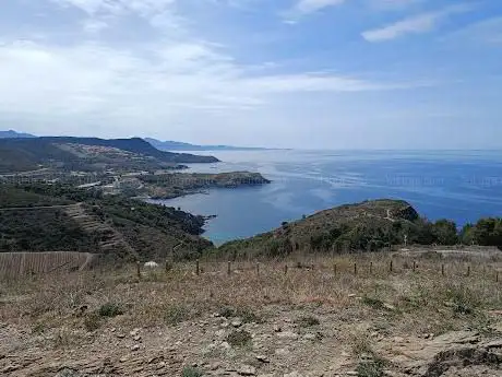 Photo de Départ sentier du littoral vers Banyuls et Collioure