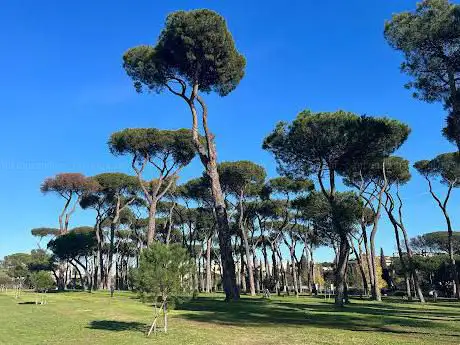 Photo de Parco del Pineto Torlonia