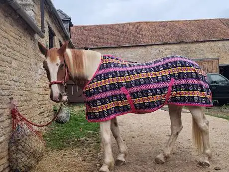Photo de Manor Farm Riding Centre