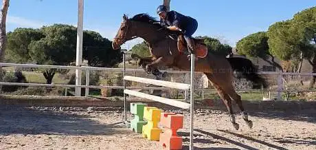 Photo de Equitacion Magerit